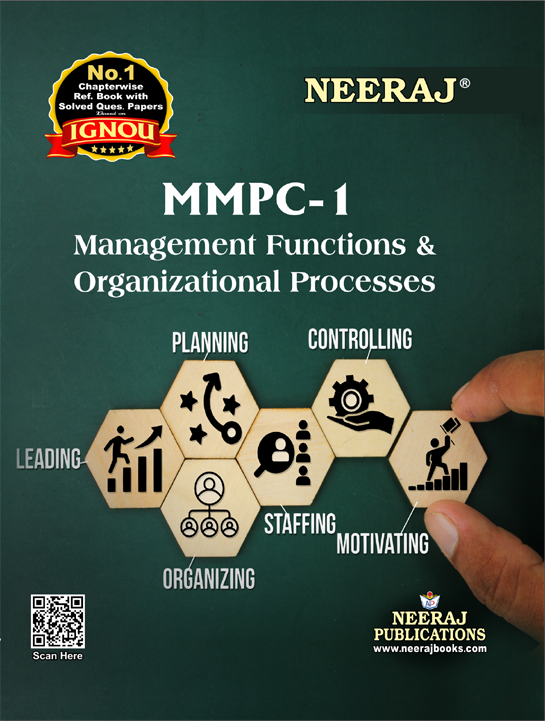 Management Functions and Organizational Processes