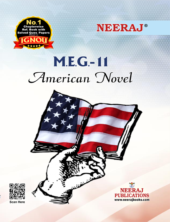 AMERICAN NOVEL